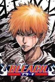 Bleach